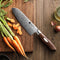 110 Layers Damascus Steel (Pre-order)