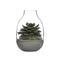 NUDE Eden Mini Terrarium Clear with Moulded Concrete Base