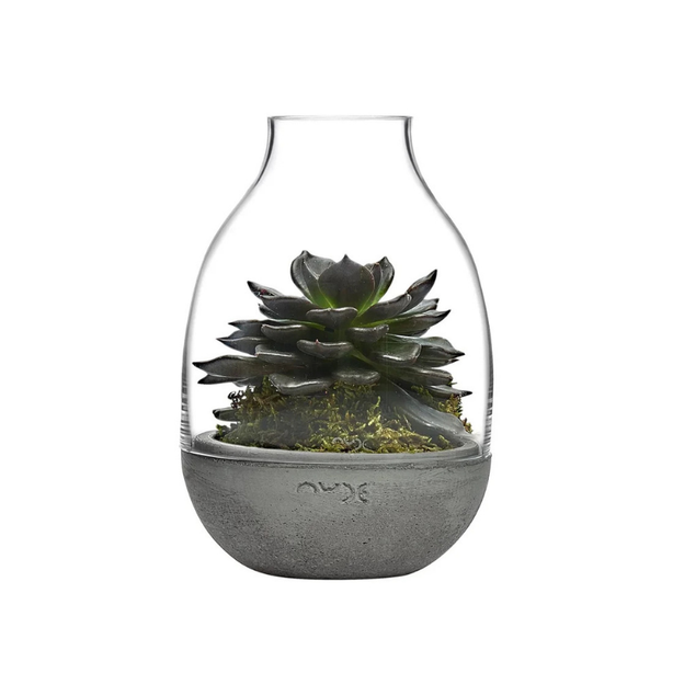 NUDE Eden Mini Terrarium Clear with Moulded Concrete Base