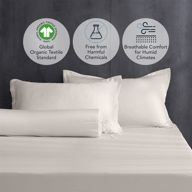 Pure Organic Cotton Fitted Sheet Set Heritage Collection by Robinsons