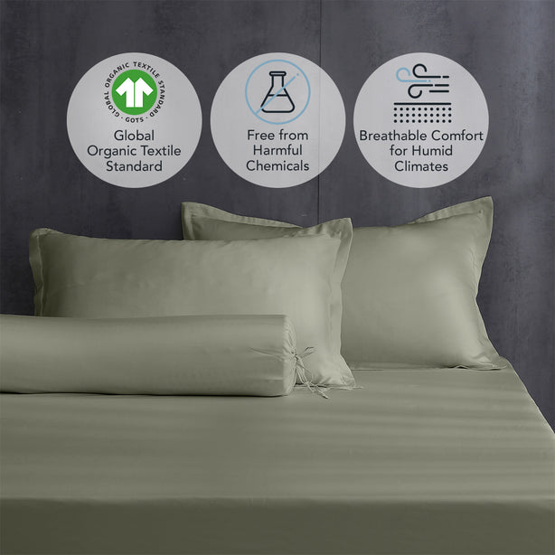 Pure Organic Cotton Fitted Sheet Set Heritage Collection by Robinsons