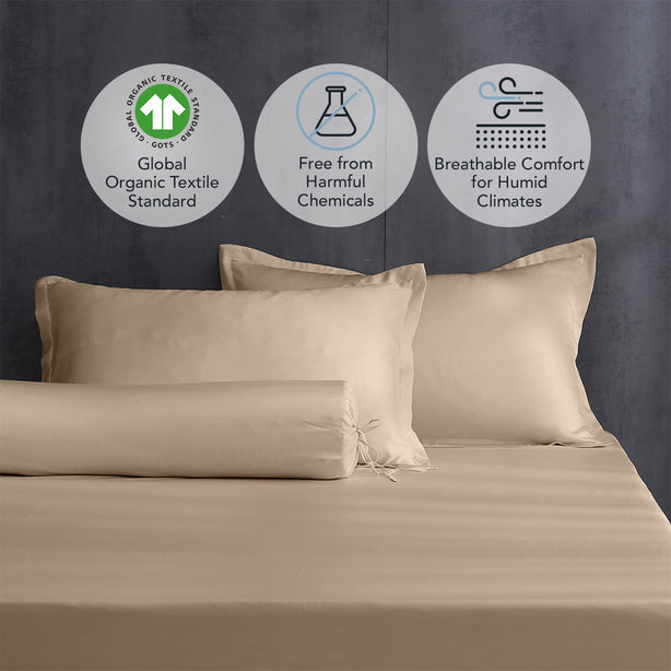 Pure Organic Cotton Fitted Sheet Set Heritage Collection by Robinsons