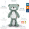 Zazu Brody the Bear, Sleeptrainer & Sound Machine