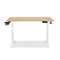 TTRacing Titus X Smart Desk