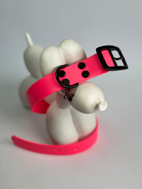 Pet Collar - M - Ultra Pink