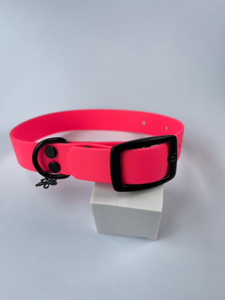 Pet Collar - M - Ultra Pink