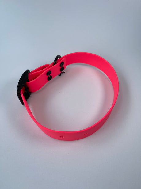 Pet Collar - M - Ultra Pink