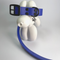 LEASh Pet Collar Biothane - Azure Blue Black Hardware