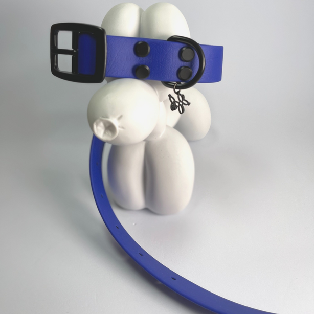 LEASh Pet Collar Biothane - Azure Blue Black Hardware