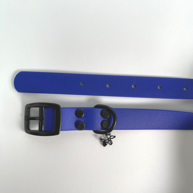 LEASh Pet Collar Biothane - Azure Blue Black Hardware