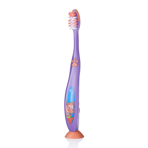 Brush-baby FlossBrush 6+ yrs (Purple)