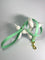 LEASh Pet Leash Biothane - Mint Gold Hardware