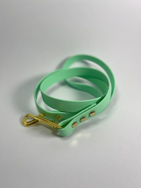 LEASh Pet Leash Biothane - Mint Gold Hardware