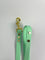 LEASh Pet Leash Biothane - Mint Gold Hardware