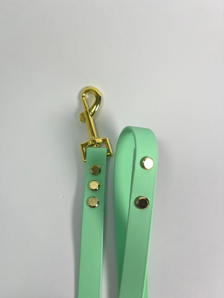 LEASh Pet Leash Biothane - Mint Gold Hardware