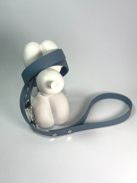 LEASh Pet Leash Biothane - Dusty Blue Silver Hardware