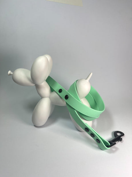 LEASh Pet Leash Biothane - Mint Black Hardware
