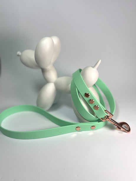 LEASh Pet Leash Biothane - Mint Rose Gold Hardware