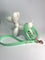 LEASh Pet Leash Biothane - Mint Rose Gold Hardware