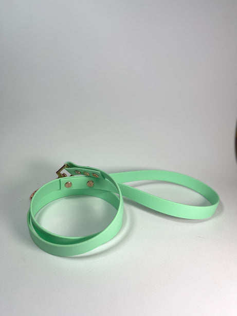 LEASh Pet Leash Biothane - Mint Rose Gold Hardware