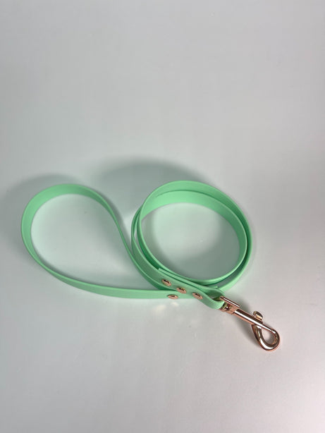 LEASh Pet Leash Biothane - Mint Rose Gold Hardware