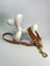 LEASh Pet Leash Biothane - Carnaby Tan Gold Hardware