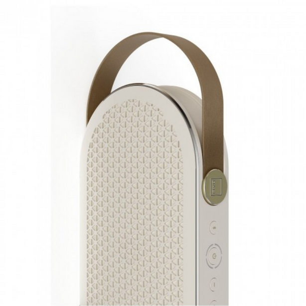 DALI Katch G2 Portable Bluetooth Speaker