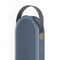 DALI Katch G2 Portable Bluetooth Speaker