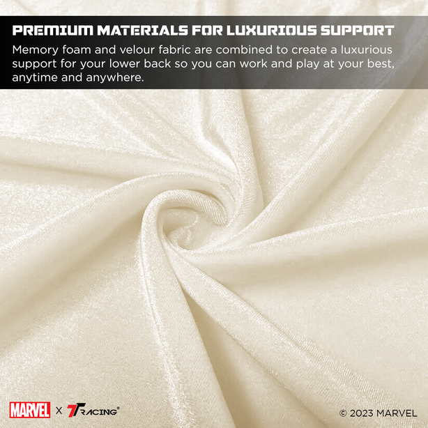 TTRacing XL Memory Foam Lumbar Pillow with Cooltec Gel - Carnage Edition