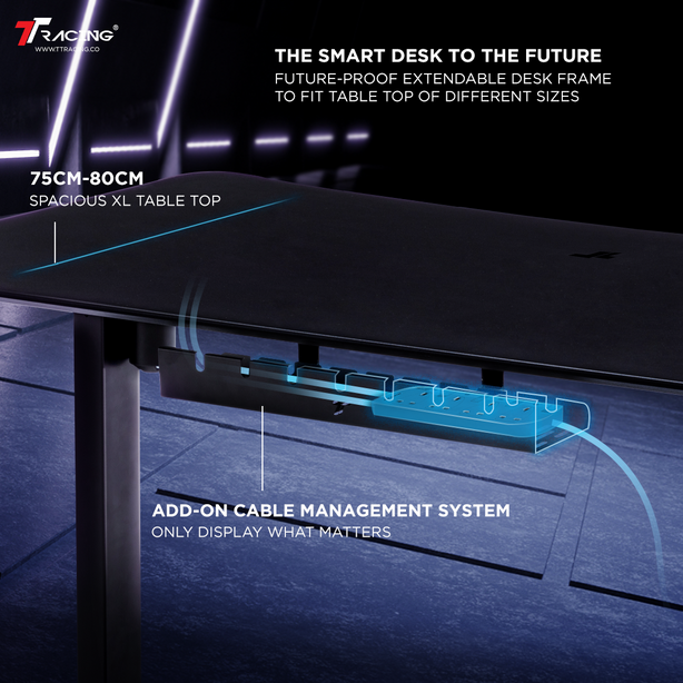 TTRacing Titus Cable Organizer