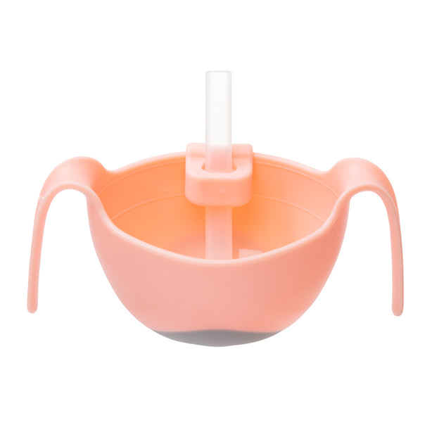 B.box Bowl and Straw (Tutti Frutti)