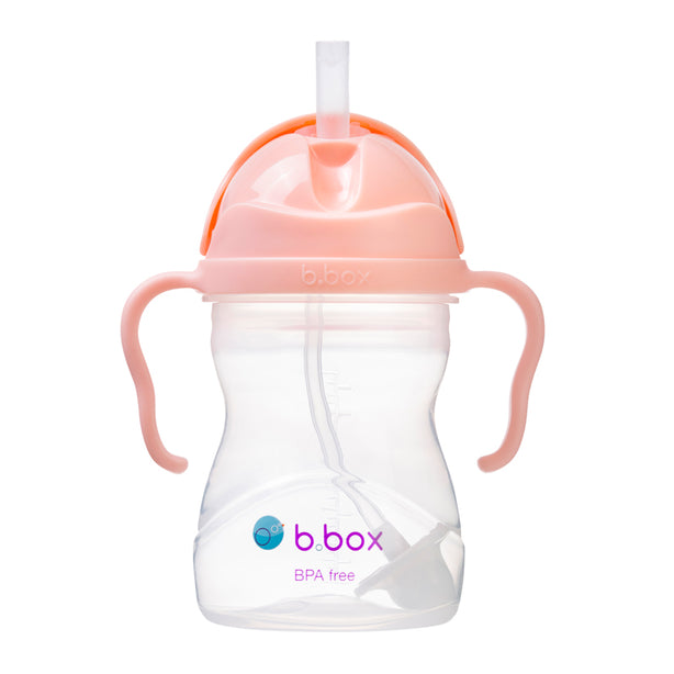 B.box Sippy Cup 8oz (Tutti Frutti)