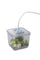 Solis Vacuum Quadratic Container