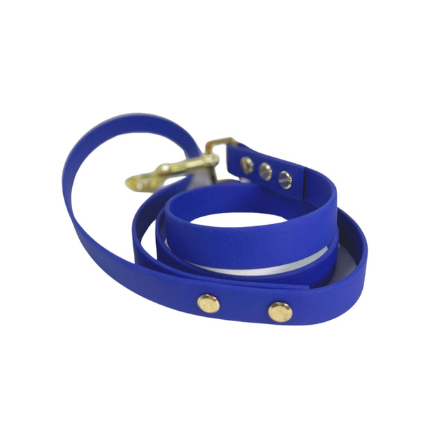 LEASh Pet Leash Biothane - Berry Blue Gold Hardware