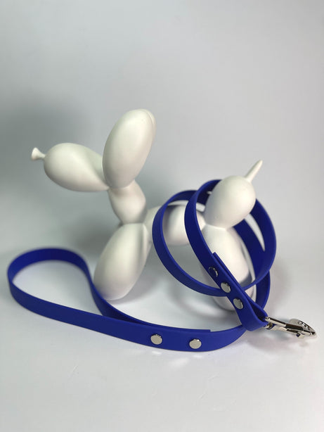 LEASh Pet Leash Biothane - Azure Blue Silver Hardware
