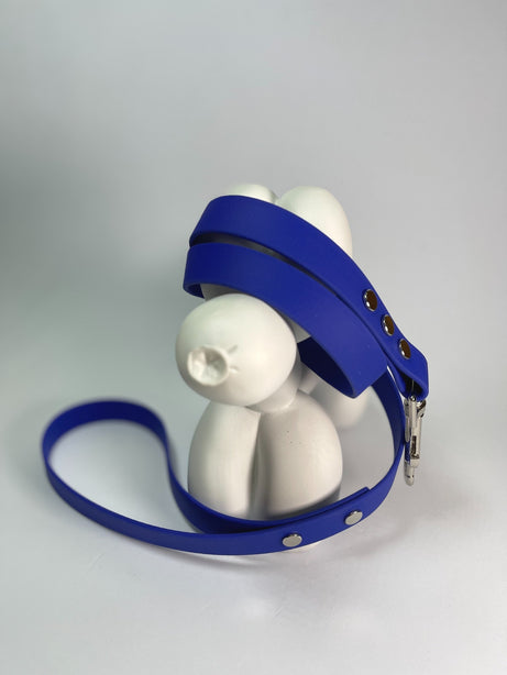 LEASh Pet Leash Biothane - Azure Blue Silver Hardware