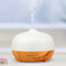 Flaming Queen Ultrasonic Glass Cool Mist Humidifier (300ML)