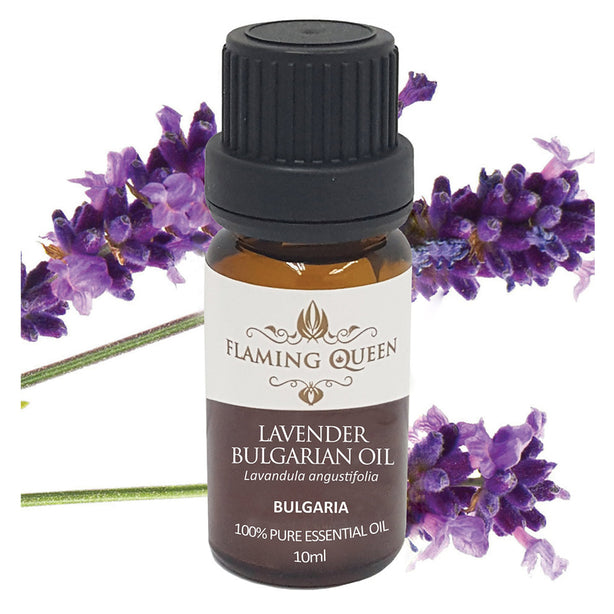 Flaming Queen Essential Oil - Lavender Bulgarian 10ML (Bulgaria)