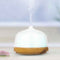 Flaming Queen Ultrasonic Cool Mist Humidifier (200ML)