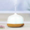 Flaming Queen Ultrasonic Cool Mist Humidifier (200ML)