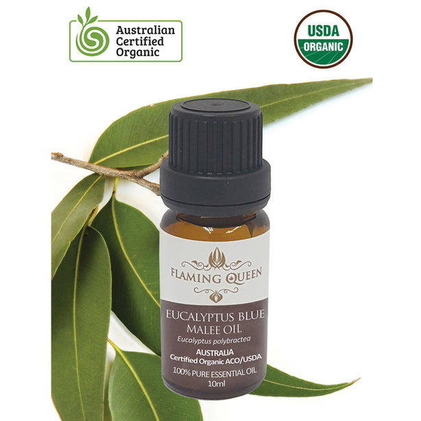 Flaming Queen Essential Oil - Eucalyptus Blue Malee Certified Organic 10ML (Australia)