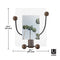 Umbra Woody Photo Display, 8