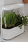 Umbra Giardino Herb Planter Pot
