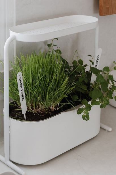 Umbra Giardino Herb Planter Pot
