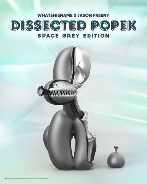 Dissected Popek By Whatshisname And Jason Freeny (Space Grey Edition)