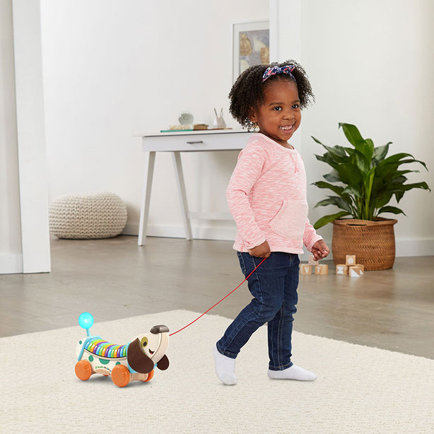 LeapFrog Wooden Alpha Pup