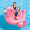 Intex Pink Flamingo Ride-on