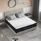 LUANNA Premier Plus Ice Silk Latex Pillow Top Hybrid Mattress