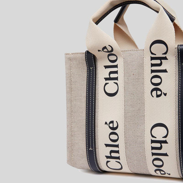 Chloe Small Woody Tote Bag White Blue RS-CHC22AS397I2691J