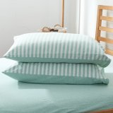 Cotton Pure - Pale Green Stripe Jersey Cotton Fitted Sheet Set